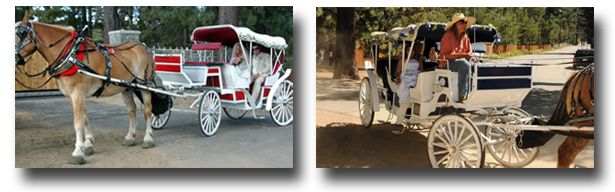 The horse and carriage approachs Lakeside Beach with the bride