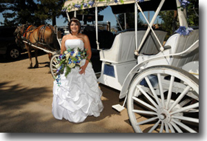 Bride arrives for her wedding at Lakeside Beach