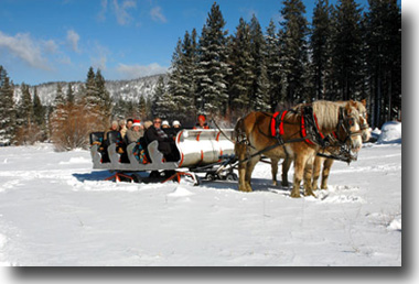 A team of horses pulls a sleigh across the snowy meadow