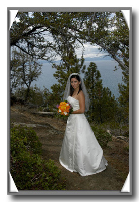 Bride posing under beautifully arched trees