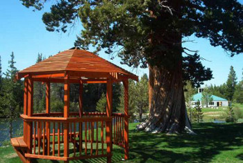 The gazebo and tree where ceremonies are performed
