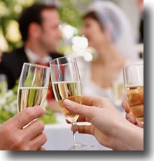 Newly married bride and groom have a reception toast