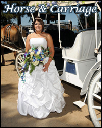 Horse and carriage wedding at Lakeside Beach