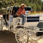 Horse and carriage approaching the wedding site