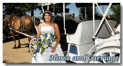 Visit the photo gallery of our horse and carriage weddings at Lakeside Beach