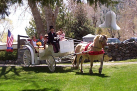 Horse and carriage arriving to the wedding site