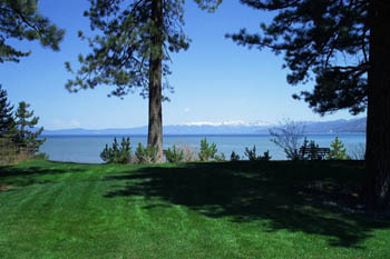 The grassy knoll area of Regan Beach